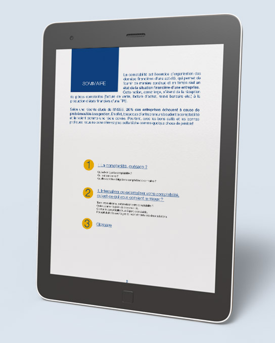 Mockup-EBook-01#Basse_SliderLP_ebook-comment-gerer-organir-comptabilite-entreprise-0822_P1_544x680